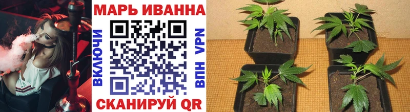 где можно купить   Баймак  МАРИХУАНА THC 21% 